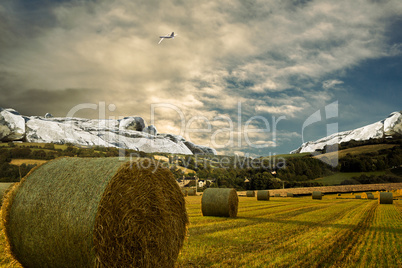 Composite image of graphic airplane Composite image of graphic airplane