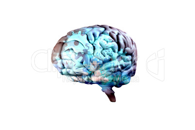 Composite image of brain