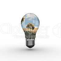 Composite image of empty light bulb