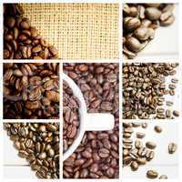 Composite image of small white cup full of coffee beans