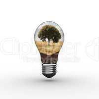 Composite image of empty light bulb