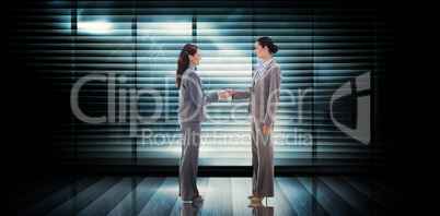 Composite image of businesswomen shaking hands