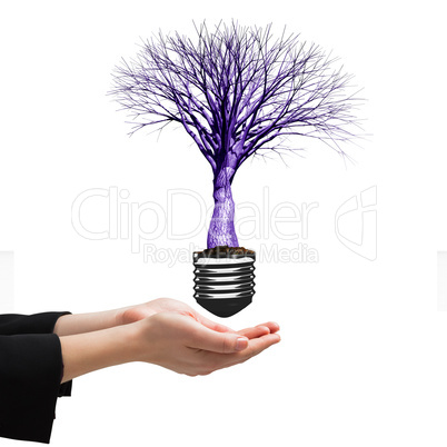 Composite image of businesswomans hands presenting Composite image of businesswomans hands presenting