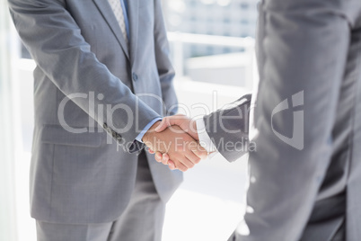 Business colleagues greeting each other