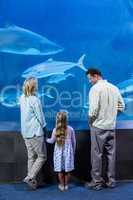 Happy family looking at the fish tank