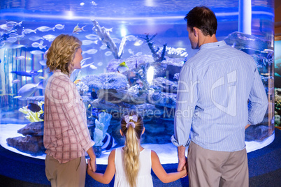 Familly looking at fish tank