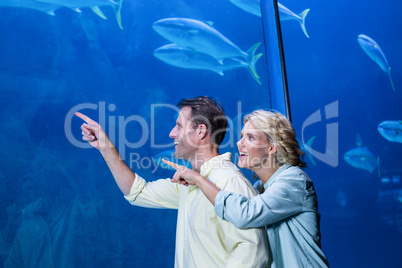 Happy couple pointing a fish tank