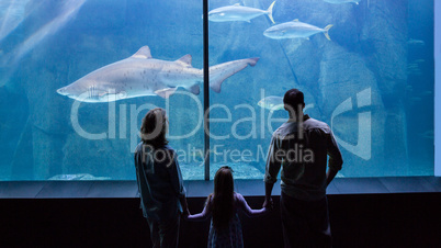 Happy family looking at the fish tank