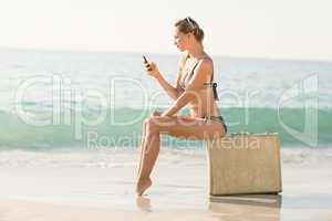 beautiful blonde woman on a sunny day