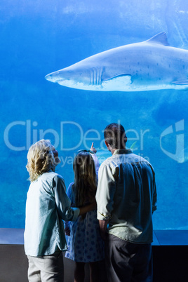 Rear view of family watching the tank fish