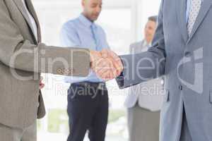 Businessmen shaking their hands