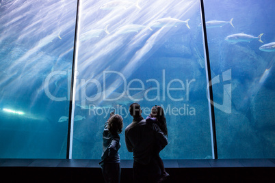 Happy family looking at the fish tank