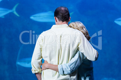 Rear view of couple watching the tank fish