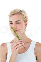 Gorgeous blonde woman smelling branch of herb