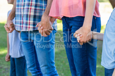 family  holding hands in the park
