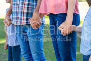 family  holding hands in the park