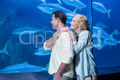 Happy couple looking at fish tank