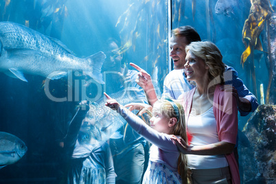 Happy family pointing a fish in the tank