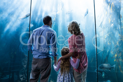 Familly looking at fish tank