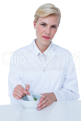 Doctor mixing herbs with mortar and pestle