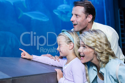 Happy family looking at the fish tank