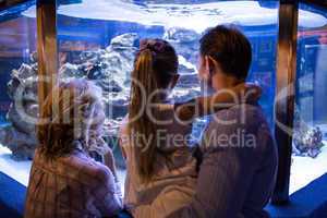 Wear view of couple looking at fish in the tank