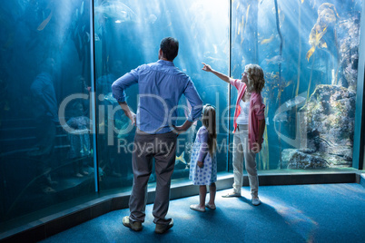 Familly looking at fish tank