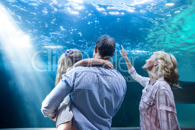 Familly looking at fish tank