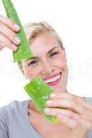 Attractive woman snapping aloe vera leaf