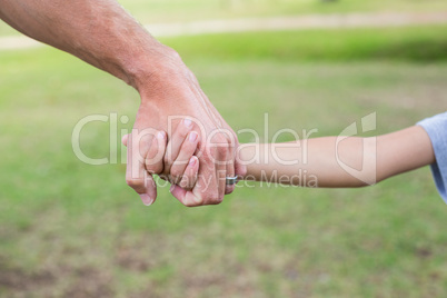 Father and son holding hands in the park