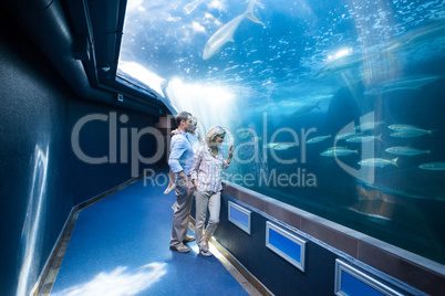 Familly looking at fish tank