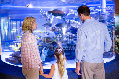 Familly looking at fish tank