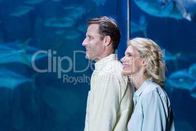 Happy couple looking at fish tank