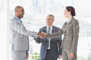 Business colleagues greeting each other