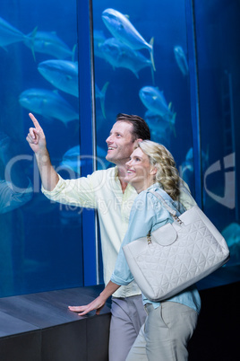 Happy couple pointing a fish tank