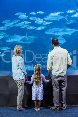 Happy family looking at the fish tank