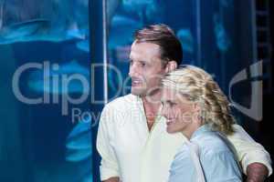 Happy couple looking at fish tank