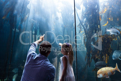 Father and daughter pointing a fish in the tank