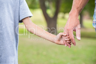 Father and son holding hands in the park