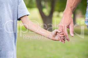 Father and son holding hands in the park