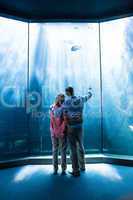 Wear view of couple looking at fish in the tank