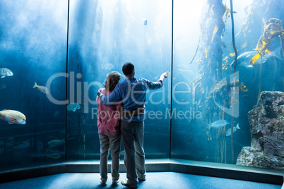 Wear view of couple looking at fish in the tank