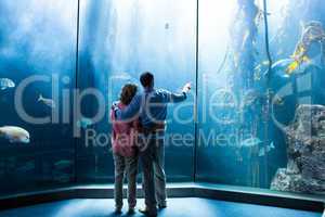 Wear view of couple looking at fish in the tank