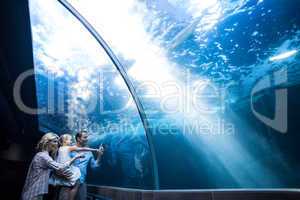 Happy family looking at fish in a tank