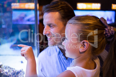 Daughter lookingand father looking at fish in tank
