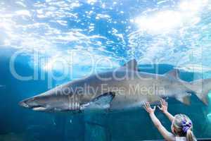 Young woman touching a shark tank