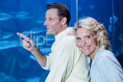 Happy couple looking at fish tank