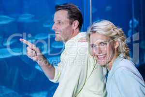 Happy couple looking at fish tank