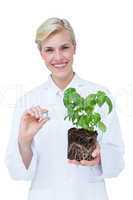 Smiling doctor holing basil plant and blue pill