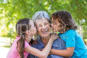 Extended family smiling and kissing in a park